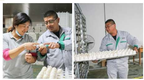 20201107/f661d20eeb8ba81b88addc9b642ae9d4.png f661d20eeb8ba81b88addc9b642ae9d4.png